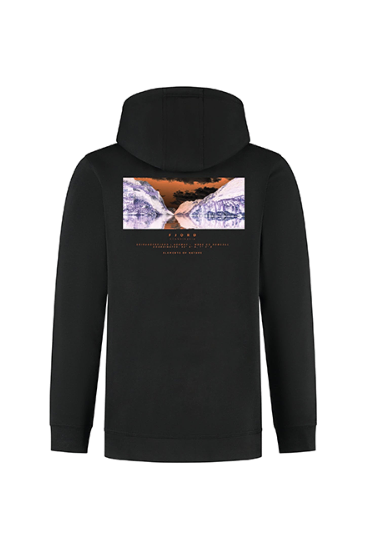 Sweater Hooded Vänner