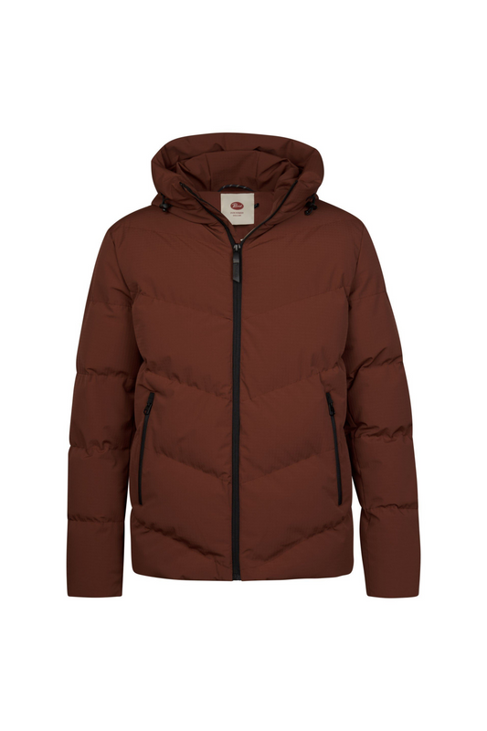 Jacket Chevron